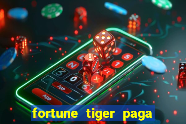 fortune tiger paga de madrugada